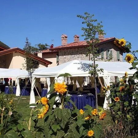 A white tent with sunflowers in the background.